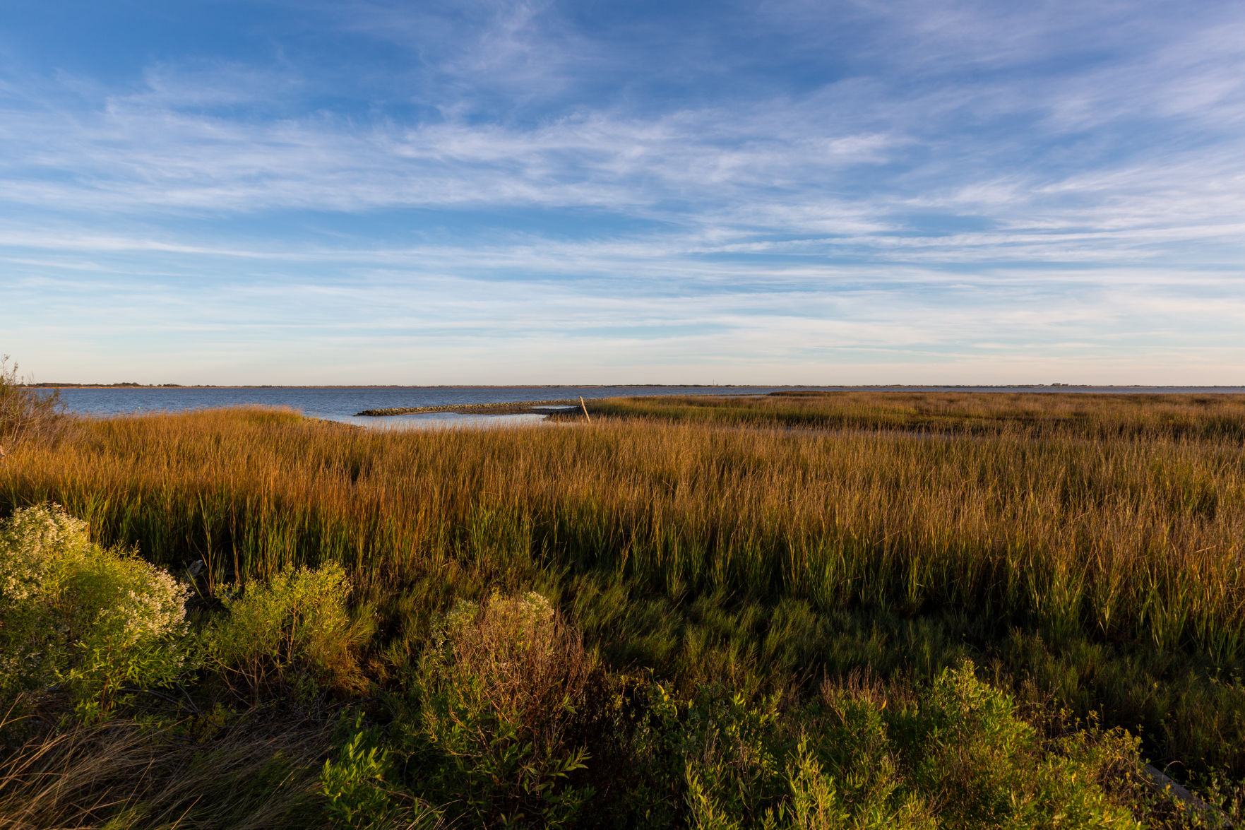 Matagorda Bay